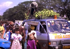 Unloading plantain in market
