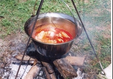 Paprika Turkey in "Bogracs"