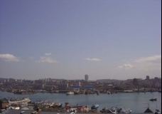 Vlad Harbour