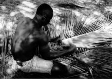 weaving plantain leaves..