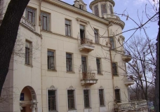 Pushkin Street #3