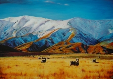 Otago Hills NZ