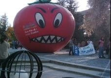 Monster Tomato at University