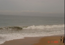 tsunami came here