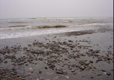 Aniva Bay
