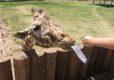 Funny Photo