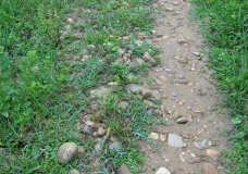 The road 1