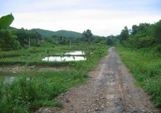 The road 4