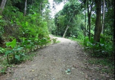 Inside the nature