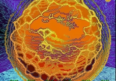 Biosphere