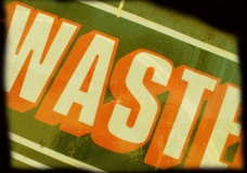 Photograph by Terri 'Waste'