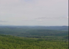 Sakhalin Summer Landscape