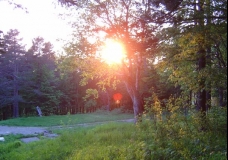 Summer Solstice