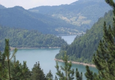 Lake Zaovine close to nacional park Tara in Serbia