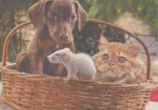 We can Live together