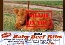Shame on You!-Malika