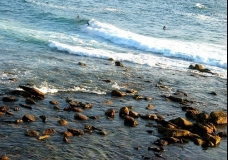 Early Morning Surfers - Sydney, Australia, February 2003