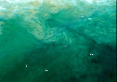 Aerial - Manly Beach Surfers 1 - Sydney, Australia, February 2003
