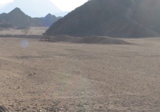 Eastern Desert II