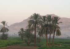 Farmlands in Upper Egypt