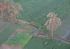 A small water canal near Luxor