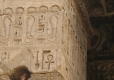 Doves in the Temple of Habu