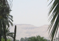The Banana Island