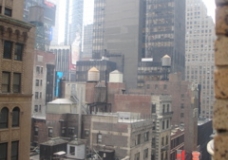 new York