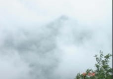 Divine Nature