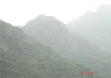 Divine Nature