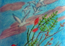The Spring Time