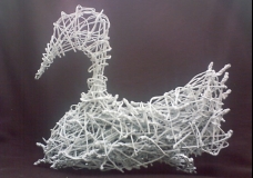 The White Duck