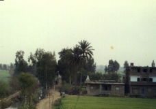 'Ezbet El-Hakea, Egypt