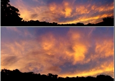 Pittwater Bay - Titian Sunset - Sydney, Australia, January 2003