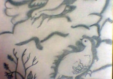 the birds