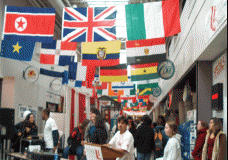 Cultural Diversity