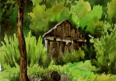 The house on the hill