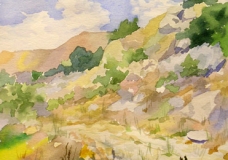 The mountain path