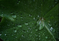 Une goutte d'eau