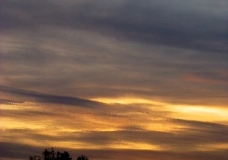 Golden Ripples 2 - Melbourne, Australia, February 2003