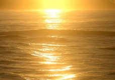 Golden