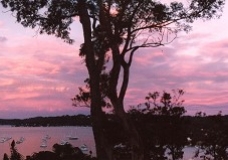 Pittwater Bay - Morning in Pink - Sydney, Australia, November 2001