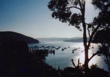 Pittwater Bay - Silver Morning - Sydney, Australia, November 2001