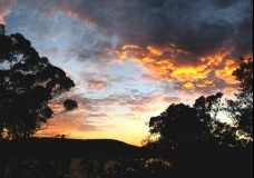 Pittwater Bay - Golden Harvest Morning 1 - Sydney, Australia, March 2003