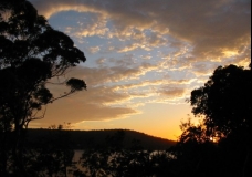 Pittwater Bay - Golden Harvest Morning 2 - Sydney, Australia, March 2003