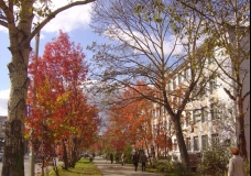 Yuzhno-Sakhalinsk in the Autumn