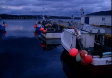 Newfoundland 2
