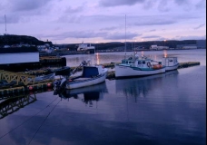 Newfoundland 5