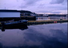 Newfoundland 6