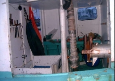 Newfoundland 7